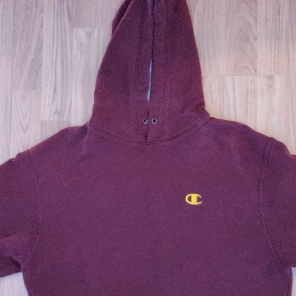 Champion sweater (missing strings) - Picture 3 of 4